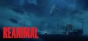 REANIMAL